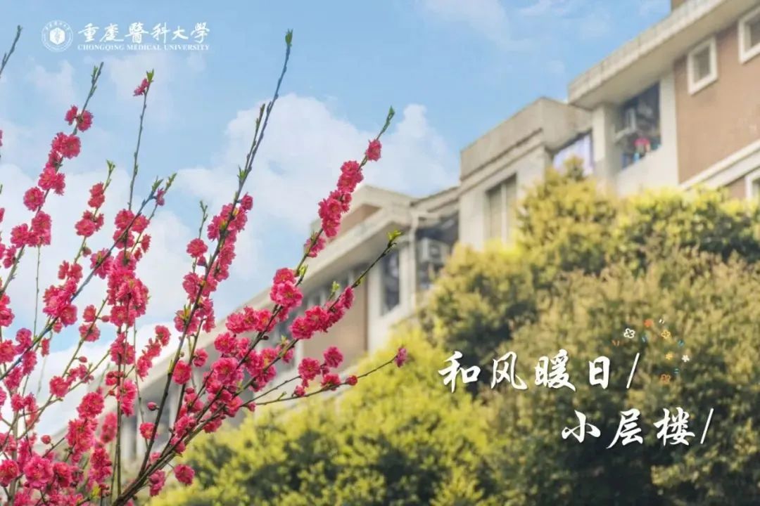 中国排名前十名的医药大学排名,学医药最有前途十大专业