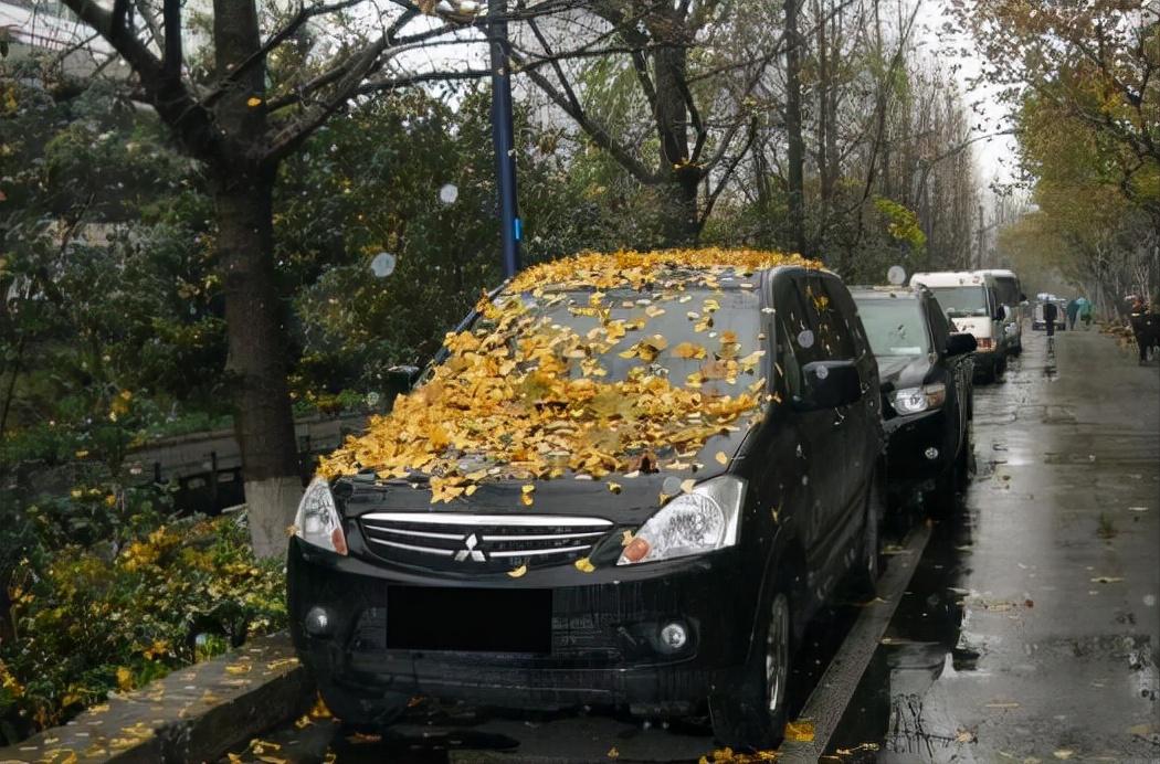 汽车久放解不开锁,车子长时间不开要怎么保护