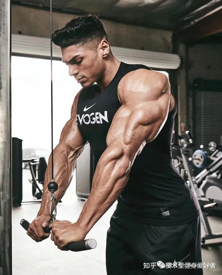 学会3个健身方法一个月练出肌肉,新手健身怎么练基础肌肉动作