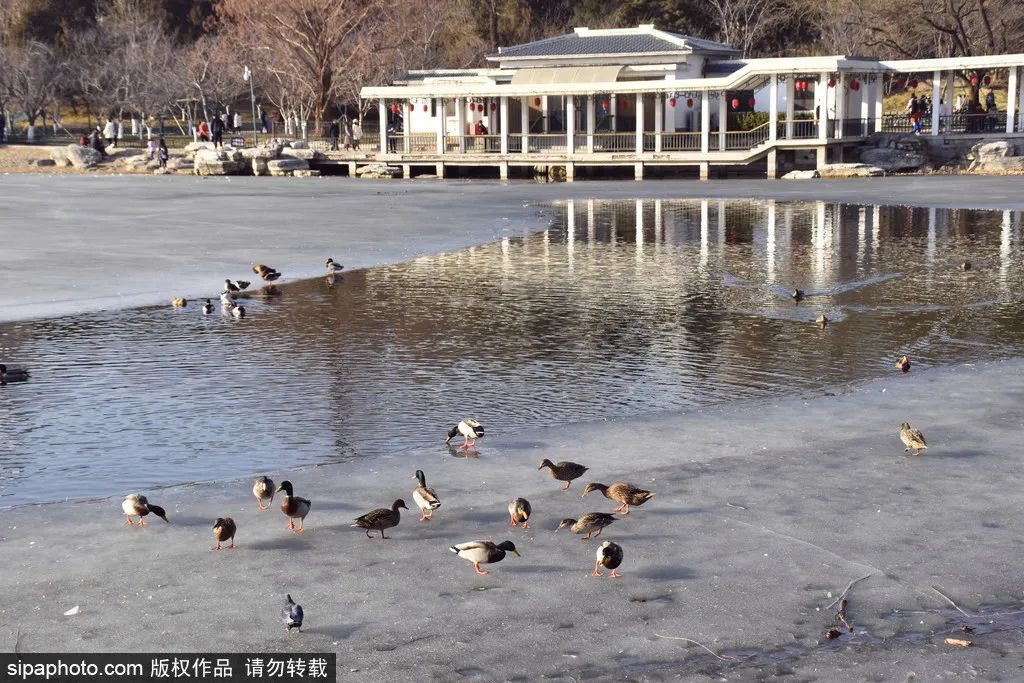冬天颐和园昆明湖全景,观赏颐和园昆明湖