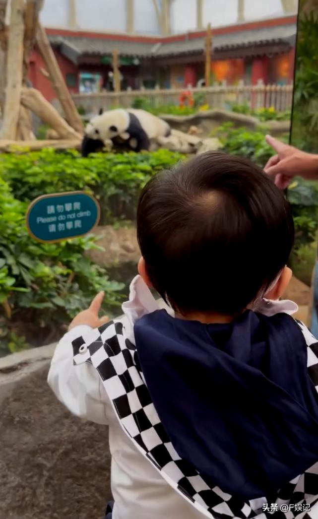 岑杏贤婚姻近况,岑杏贤现在婚姻状况