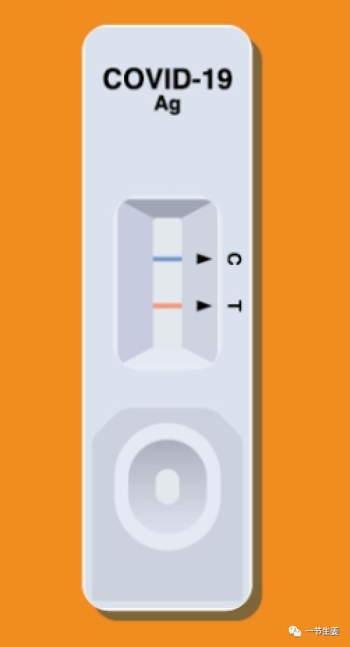 抗原检测两条杠是怎么回事,抗原检测出现两条杠怎么办