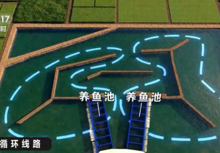 水库养鱼一年收入1000万,30亩养鱼塘一年收入