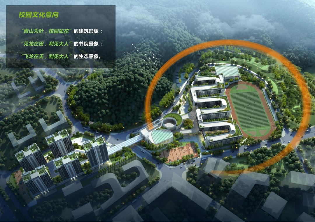 打造学生健康快乐成长的“林中学堂”，这所深圳高中做到了！