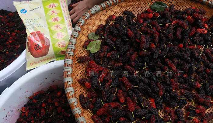 雅大酒业发酵技术,雅大果酒酿酒技术