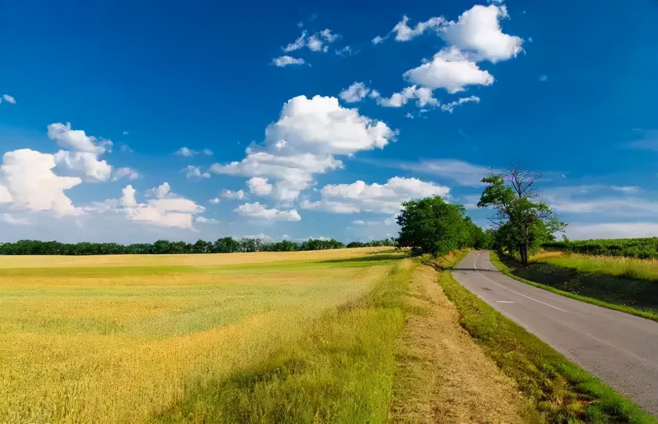 淡季大理堪称人间理想,大理的旺季真实体验