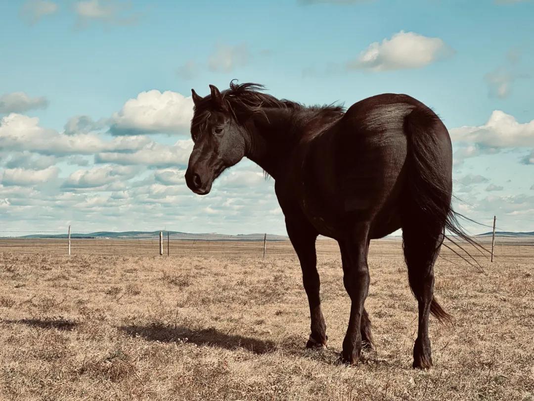 没有缺点的iphone13promax,iphone13promax与iphone13pro