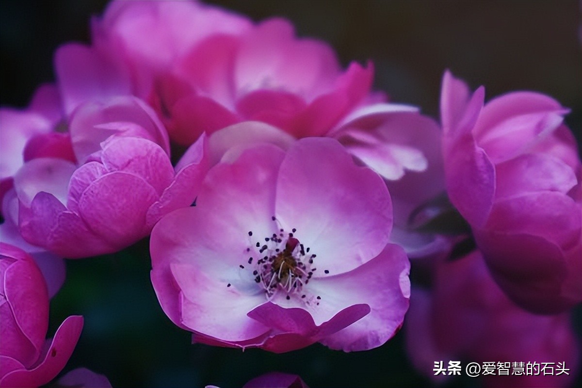 如果有人不喜欢你你该怎么办,如果有人不喜欢你你喜欢她怎么办