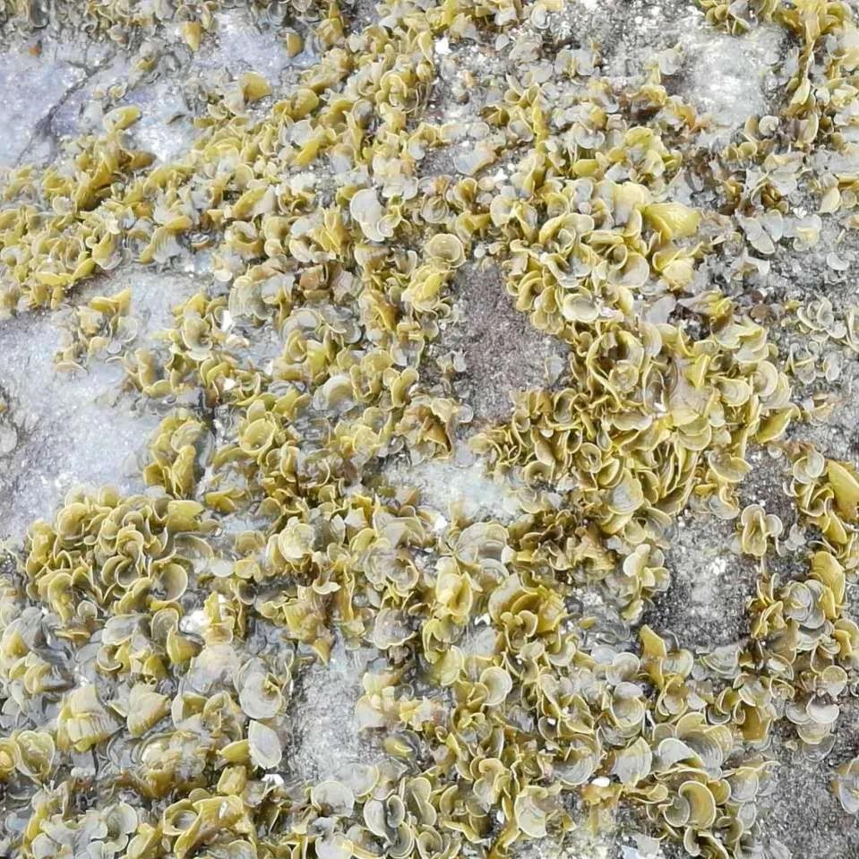 巴厘岛和蓝梦岛是一个地方吗,旅行来到巴厘岛蓝梦岛恶魔之眼