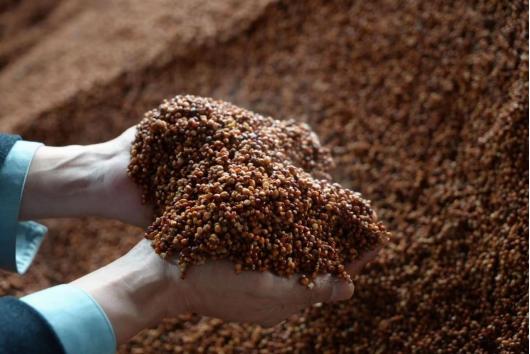 过期的啤酒喝了会变傻吗,过期的啤酒千万不要扔了