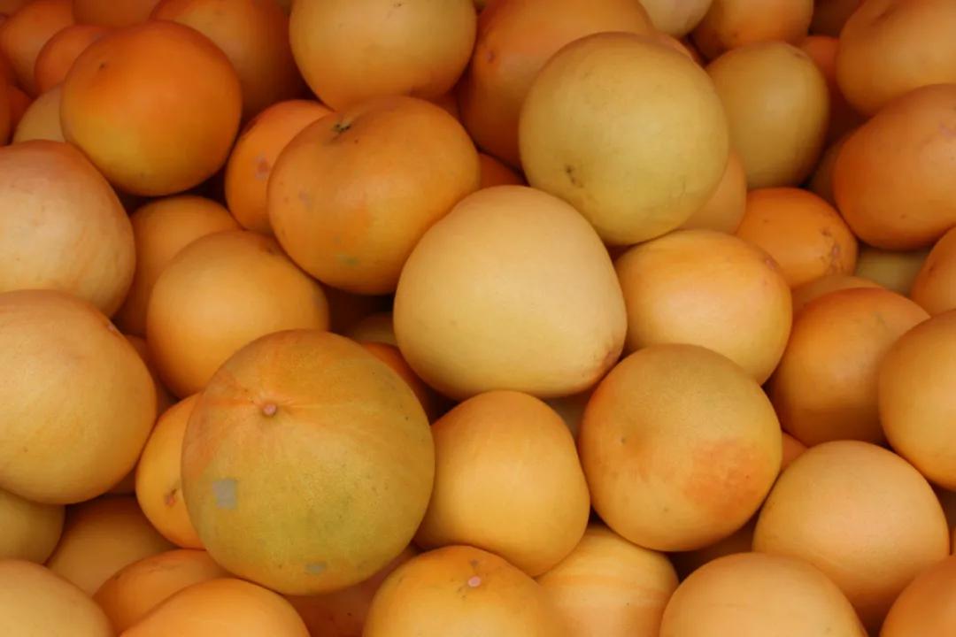 ​「四新四化蹲点采访」小水乡：蜜柚喜获丰收果农直播带货