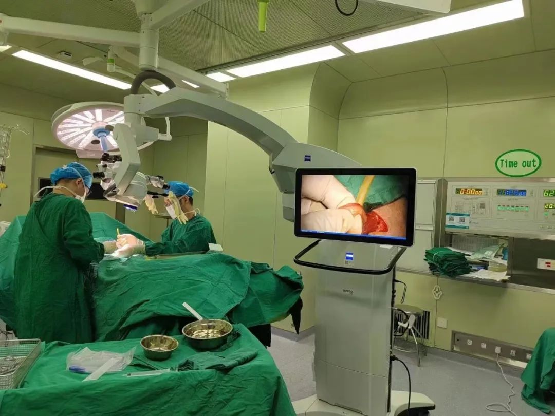 蛋蛋偶尔会发炎会影响生育吗,单侧睾丸静脉曲张会影响生育吗