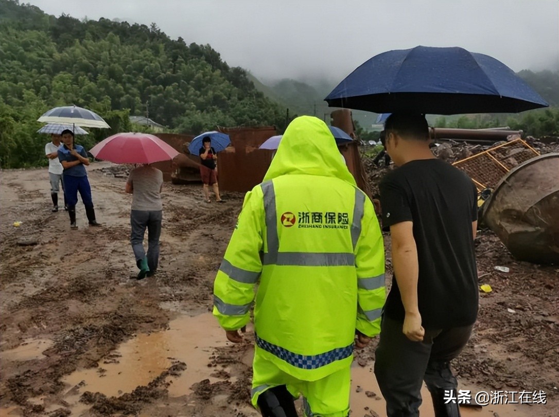 共富路上的金融力量!浙商保险深耕交通产业风险管理