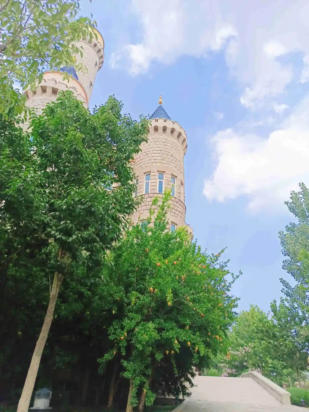 烟台让世界微醺,烟台开发区西夫拉姆酒场