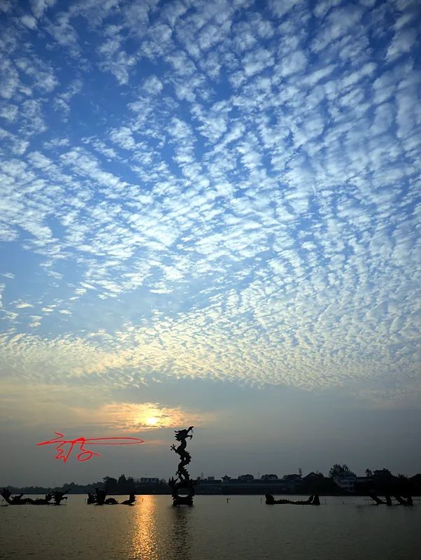 淮阳荷花节什么时间最好看,淮阳看荷花节开幕
