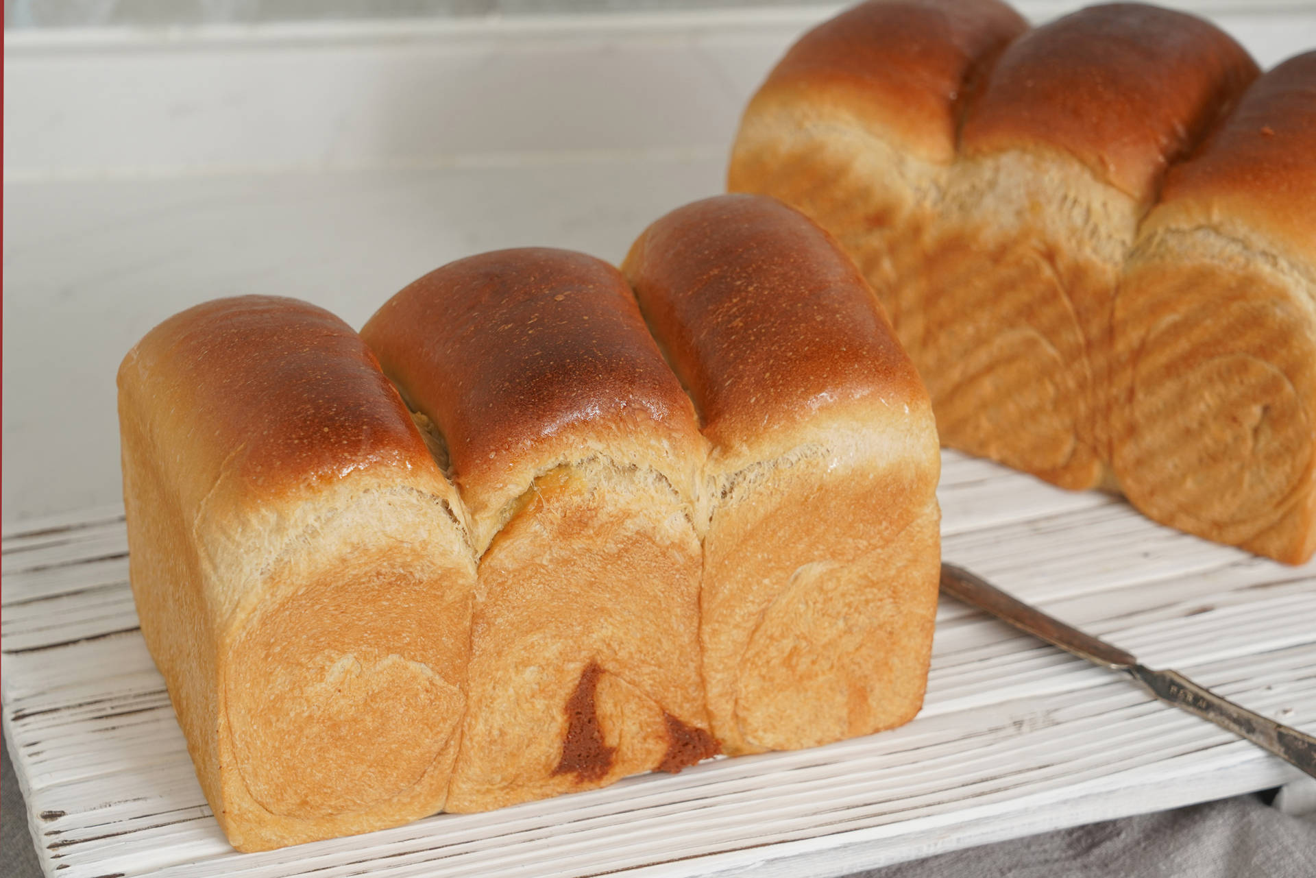 烤箱推荐海氏c45,烤箱性价比高实用海氏