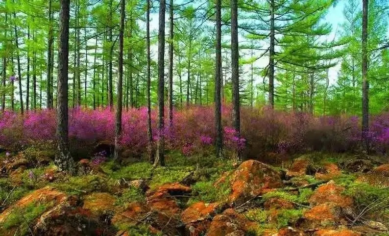 黑龙江冷门旅游城市,黑龙江省五一冷门亲子游