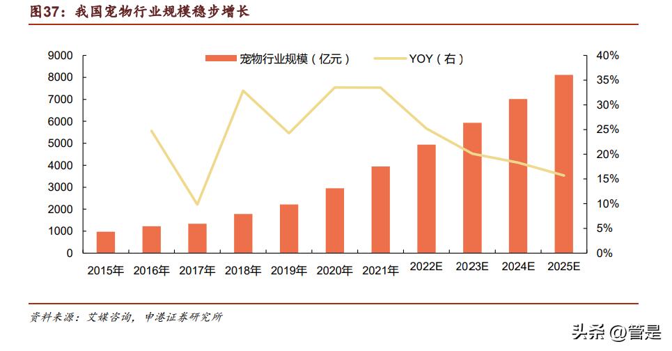 生物股份年报详解,生物股份2024年分析