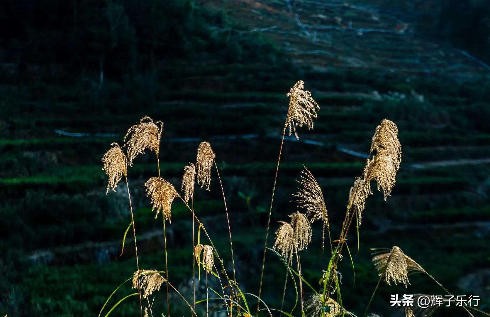 广东潮州凤凰海棠花谷，风光旖旎，3条绝美徒步线路值得一走