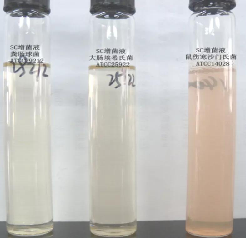 食品微生物沙门菌检验流程,食品中沙门氏菌的检测视频