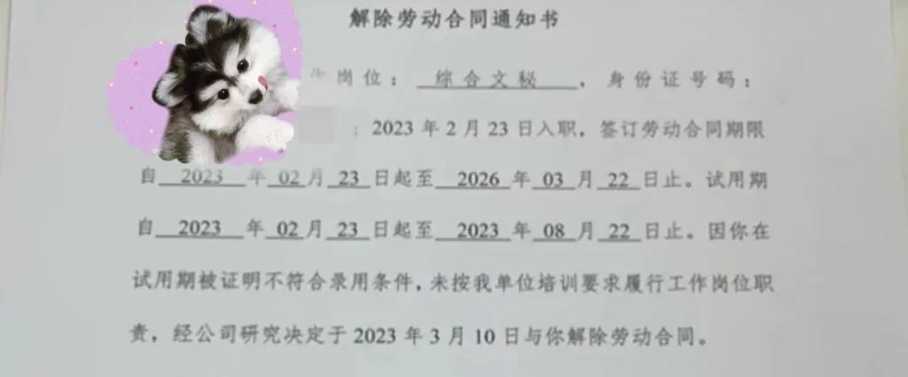 女子倒水太满被开除事件,女子因倒水太满被辞后续