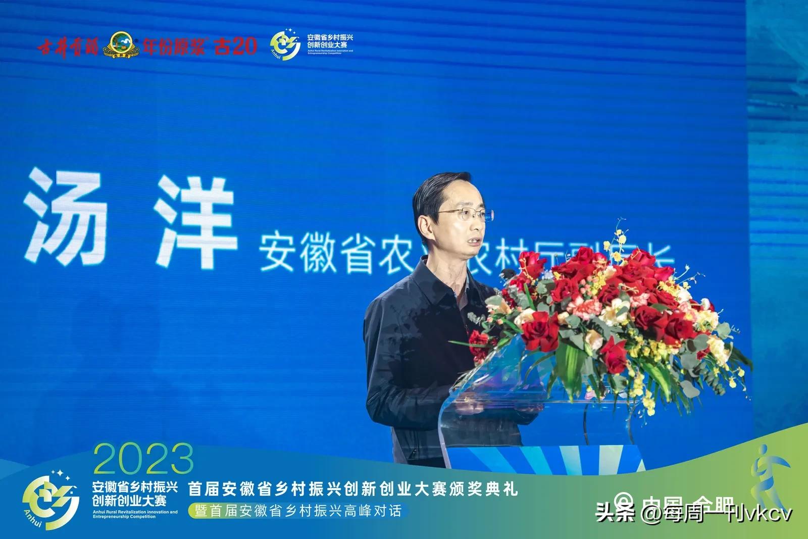 安徽省乡村振兴创新创业大赛作品,安徽乡村创新创业大赛