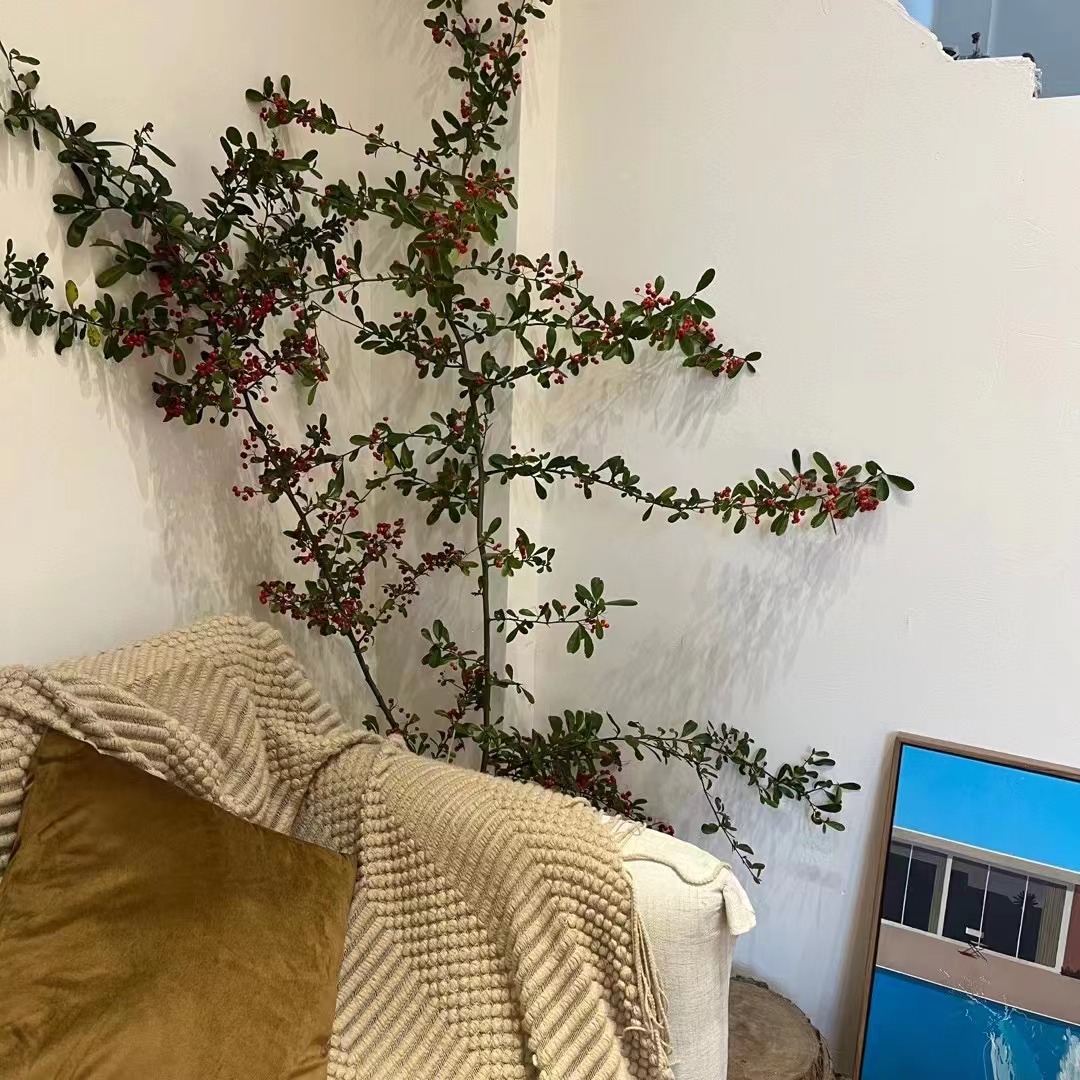 龙泉滨河路,龙泉中山路美景