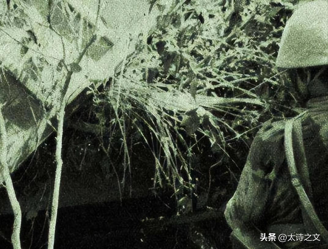 50年代处刑老照片图文,晚清犯人被打板子