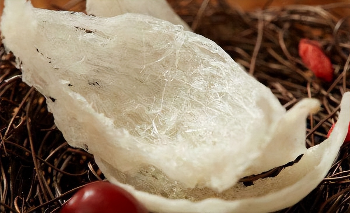 燕窝的燕子口水为什么有营养,燕窝只是燕子的口水为什么这么贵