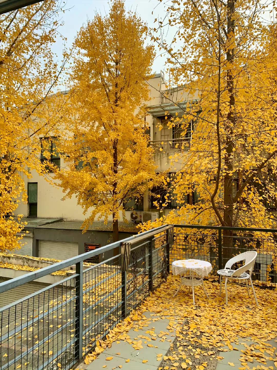 专注自己不要恋爱脑的文案,保持清醒拒绝恋爱脑的文案