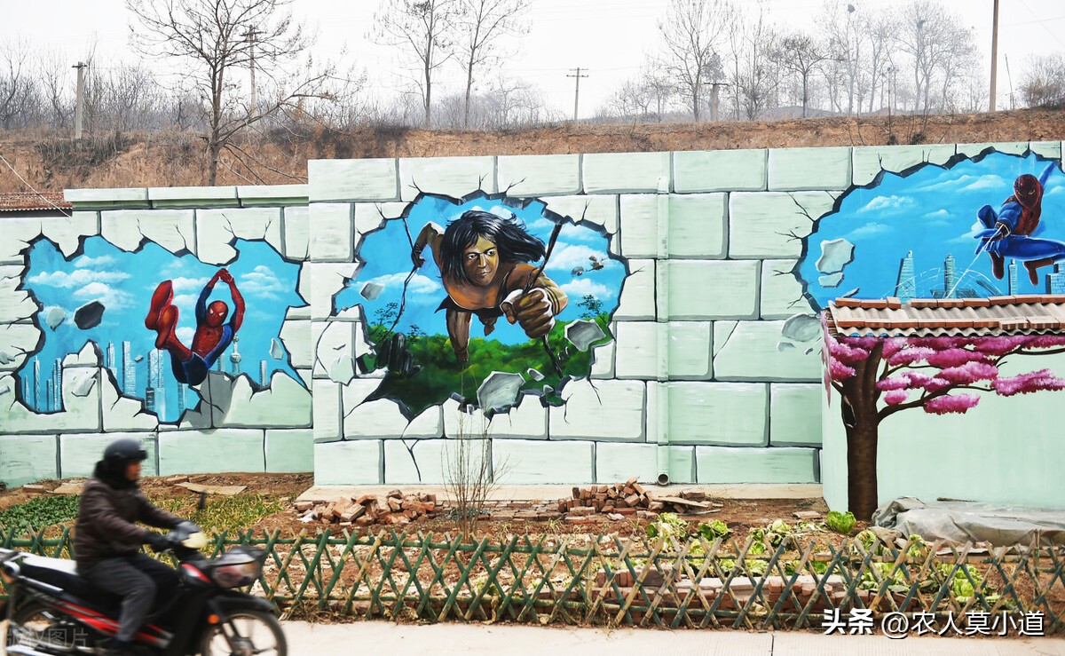 农村改厕为什么厕所里面不管？现在如何申请？如何领取？