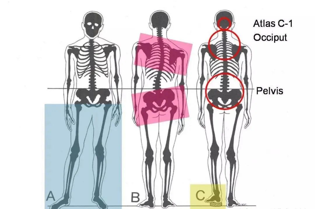 玄彬孙艺珍辟谣离婚传闻,玄彬孙艺珍离婚没