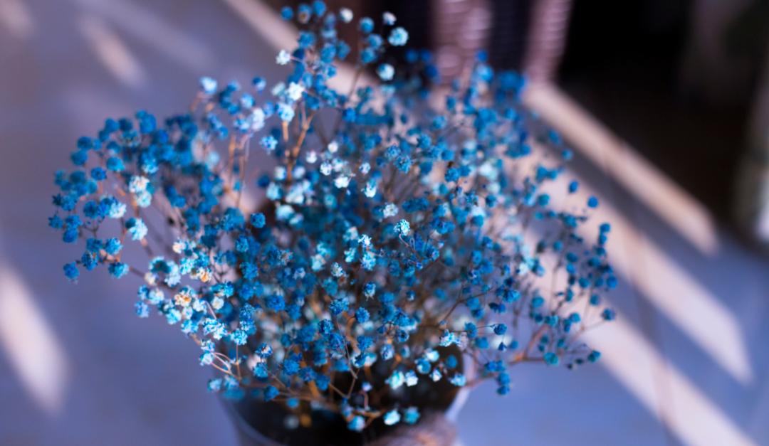 十个字友谊文案短句干净治愈,关于友谊的文案50字