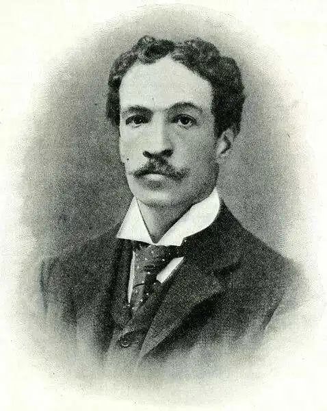 顶级猫奴！天才画家用余生为亡妻画猫，却被送进精神病院…