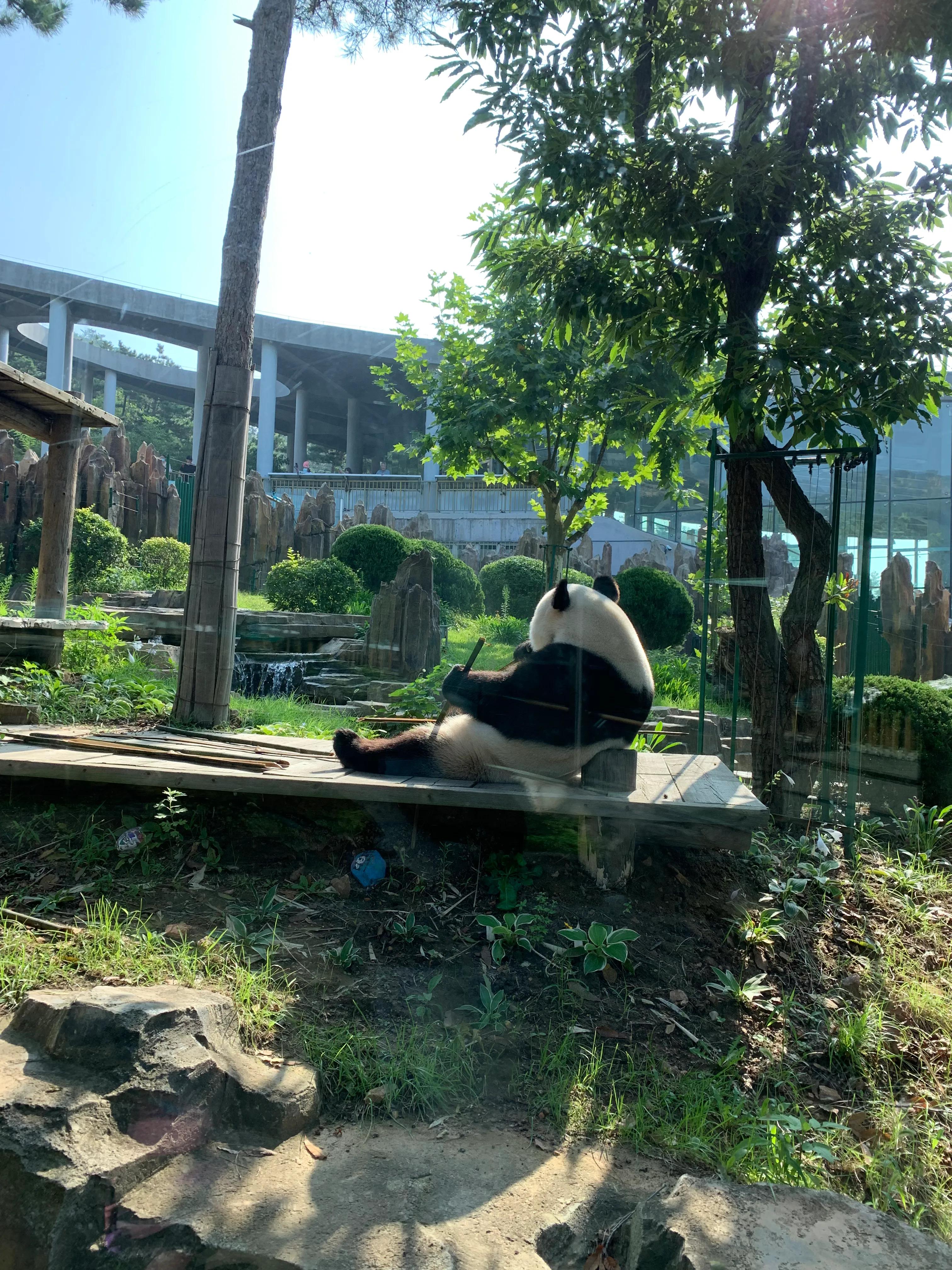 大连动物森林公园旅游攻略,大连森林动物公园旅游攻略