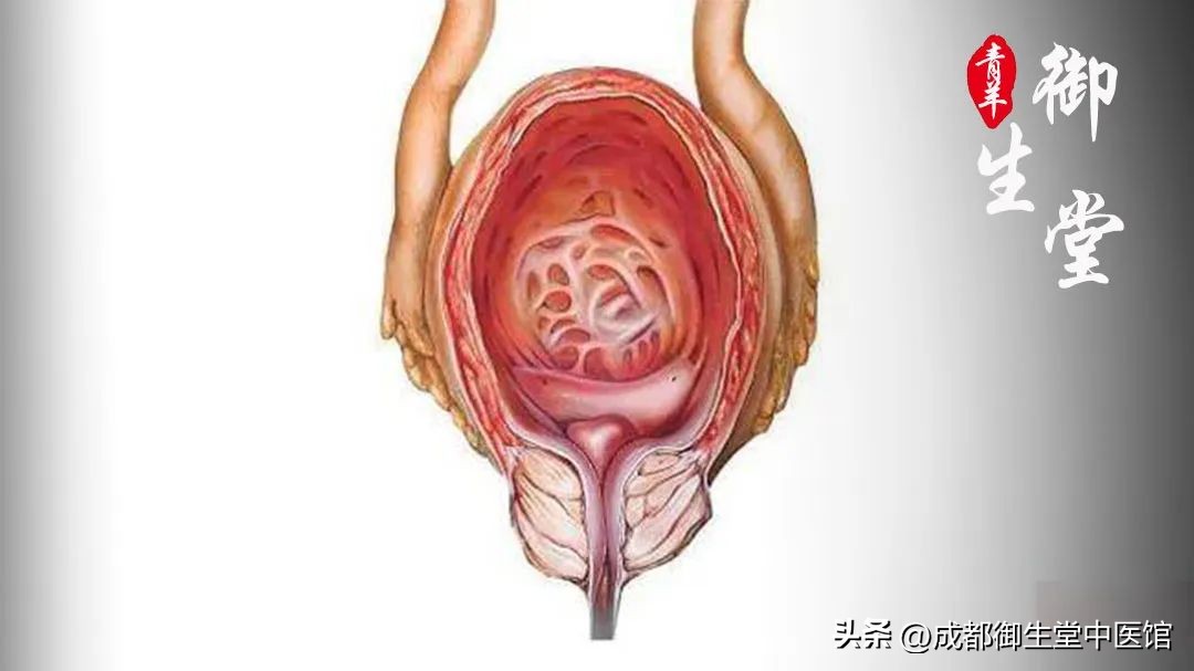 膀胱癌能中医治疗吗,膀胱癌中医怎么治疗更有效