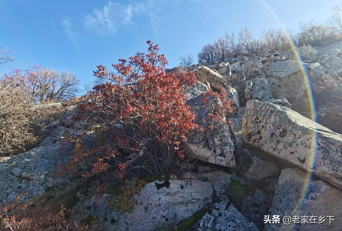 喇叭沟门原始森林最佳观赏区,喇叭沟门原始森林赏七彩秋景