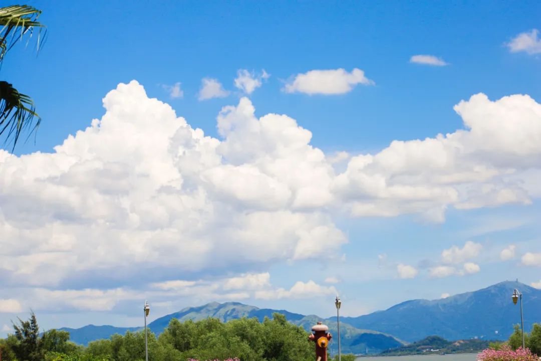 月薪三万在深圳属于什么水平,在深圳月薪3万工作22天是什么水平