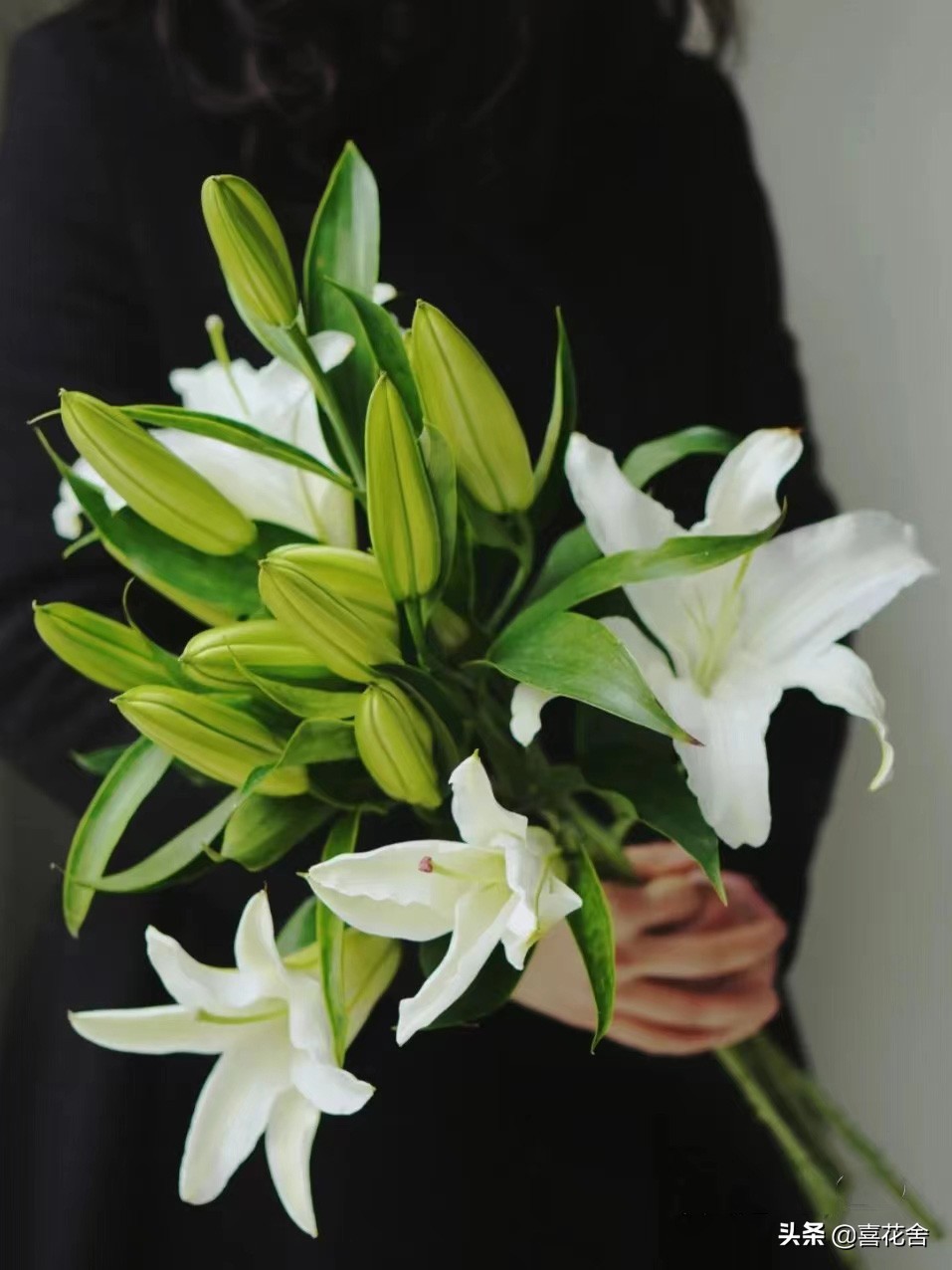 鲜花认识及养护第1：百合花——纯洁、高雅、芳香馥郁的花中女王