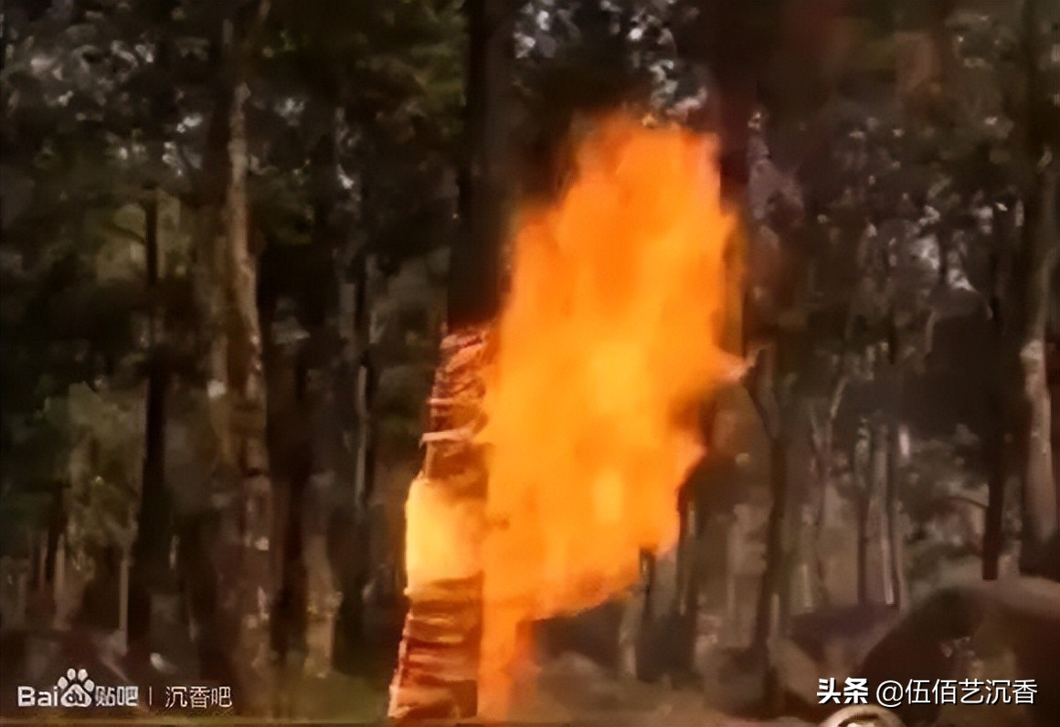 沉香造假最新视频,沉香造假的手法