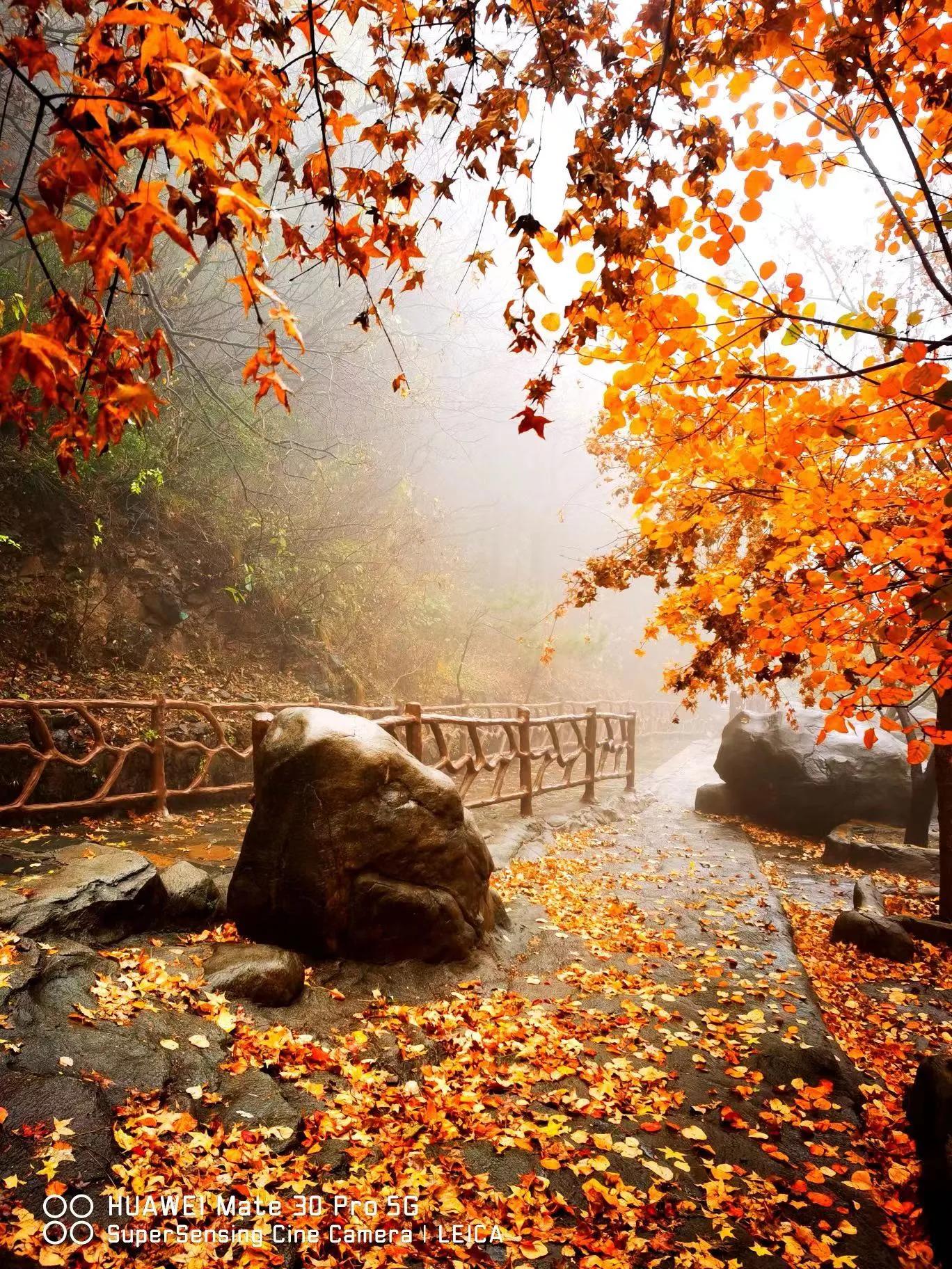 炒股其实很简单中长线盈利技巧,真正炒股赚钱的人从来不说方法