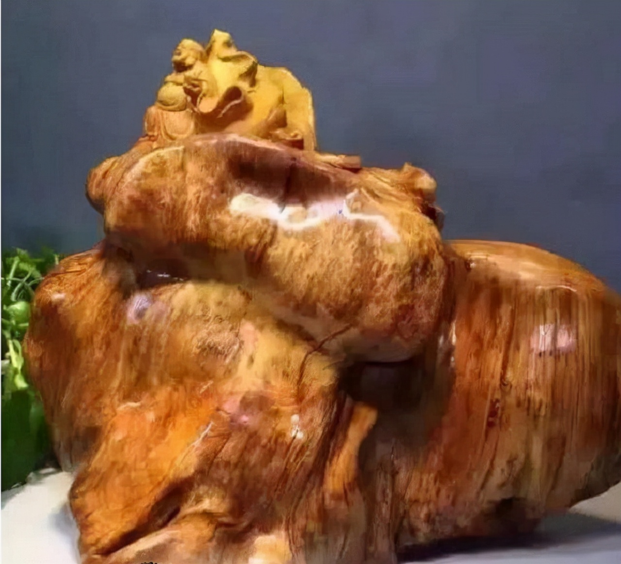 山西小伙卖房、花光百万，买了一屋烂树根，11年后价值无法估量