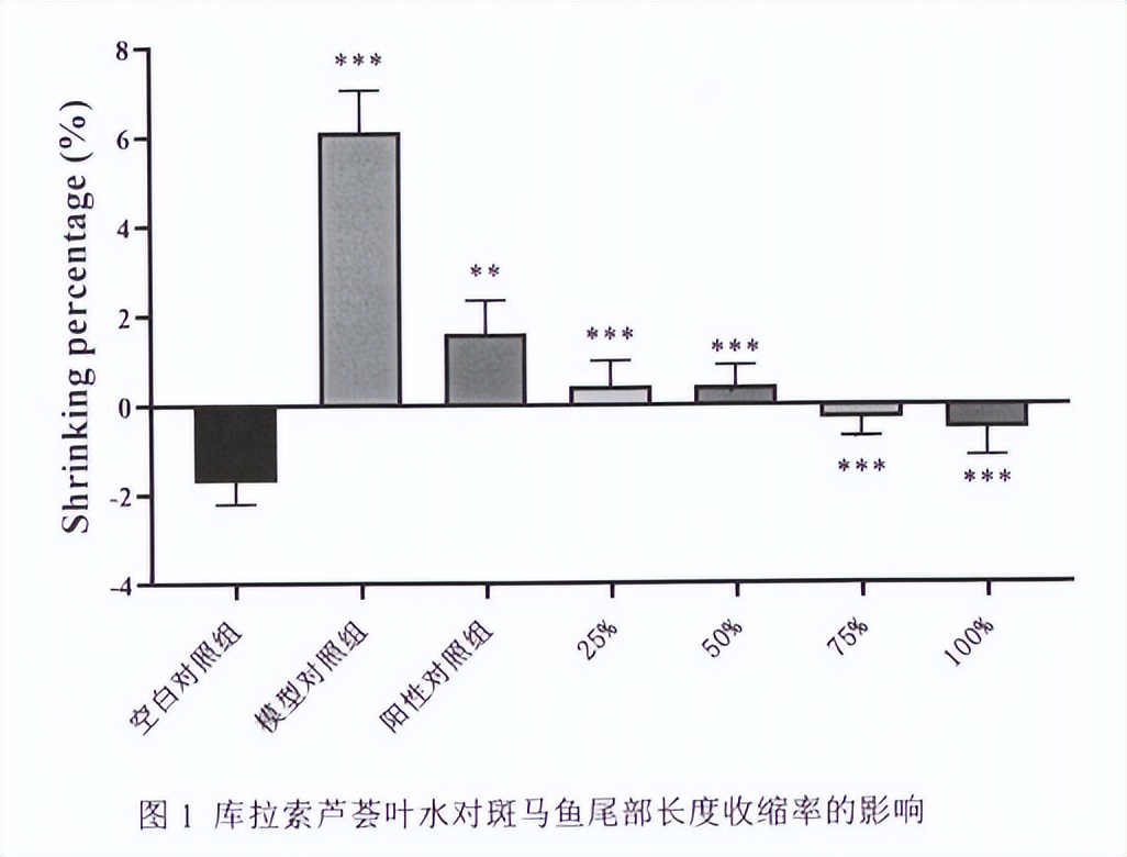 高保湿强功效婴童护肤必选成分——库拉索芦荟叶水
