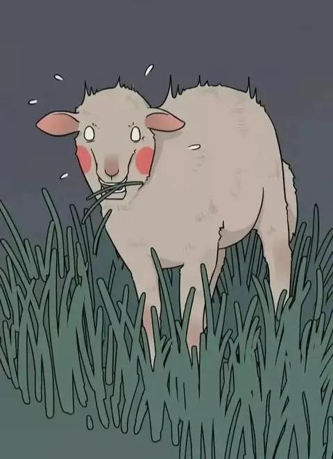 古人是如何做到避孕的呢,古人是怎么样避孕的