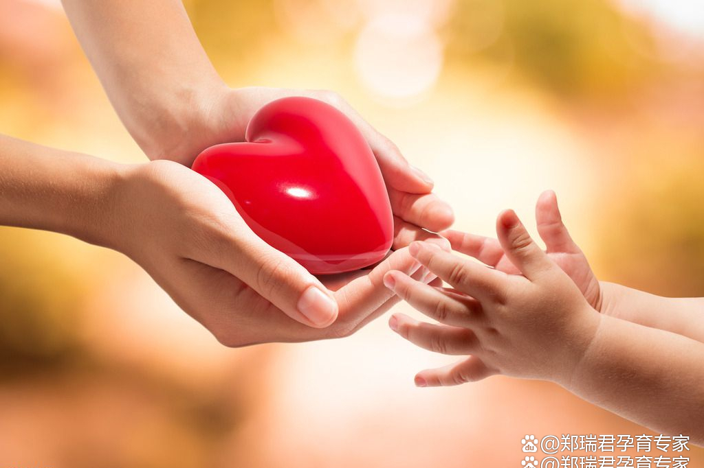 胎停流产后再难过,这些项目也要及时检查