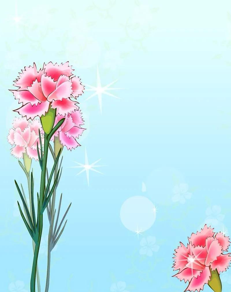 康乃馨花束壁纸,康乃馨壁纸手机超清全面屏