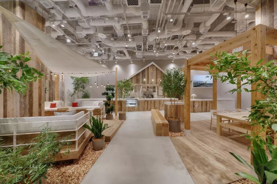 一场说走就走的旅行是种什么体验,体验100种生活方式之租车旅行