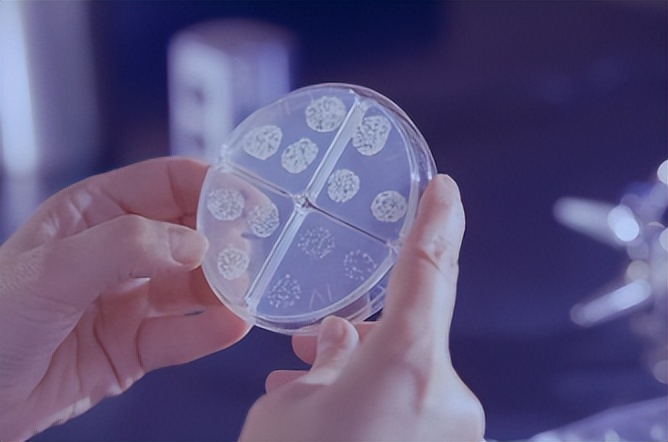 2022包装行业回顾：乌克兰战争、化学回收和生物塑料