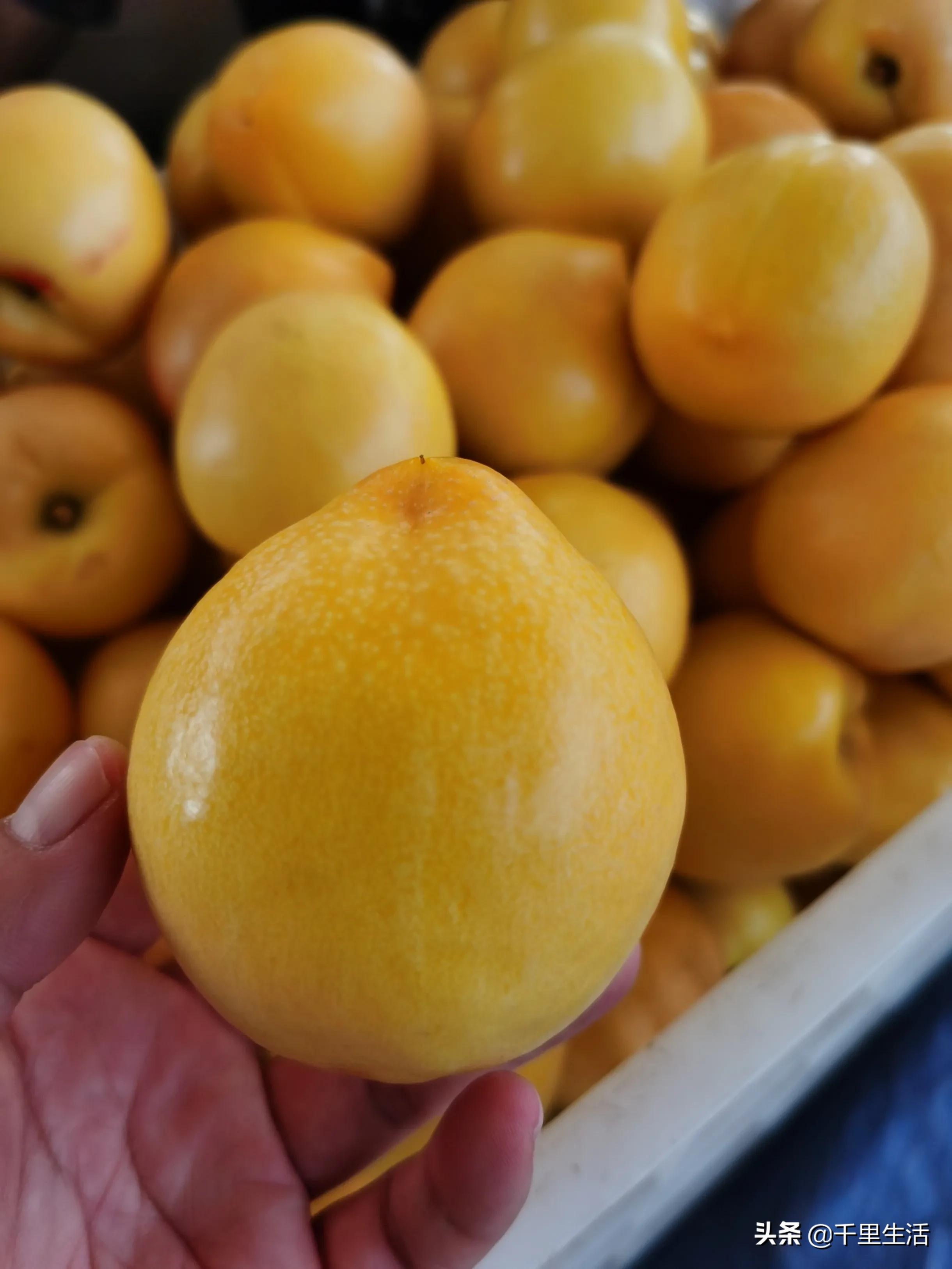 桃子熟了山东蒙阴黄桃,蒙阴蜜桃中国三大名桃