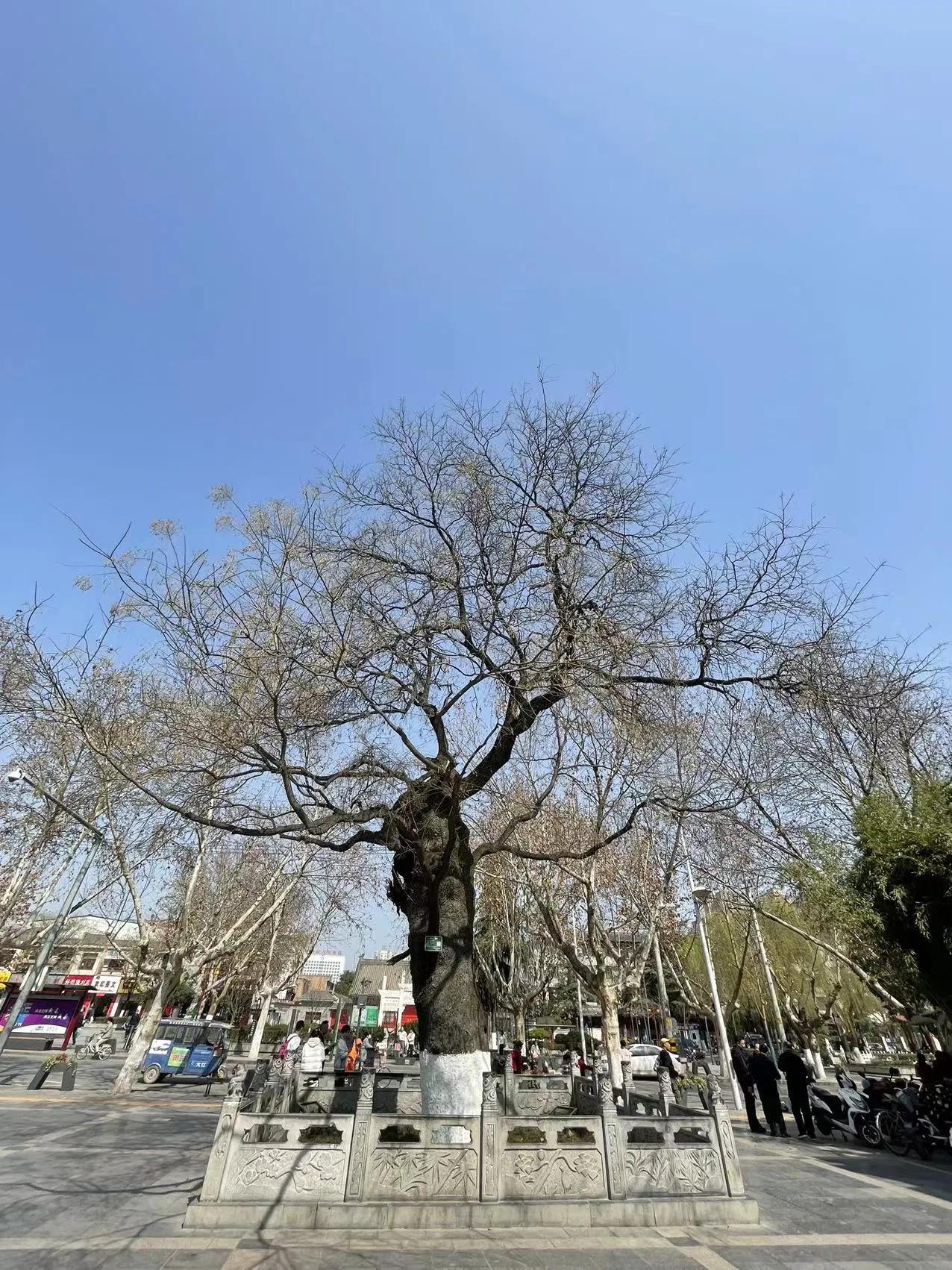 走进户县,欢迎回到西安户县